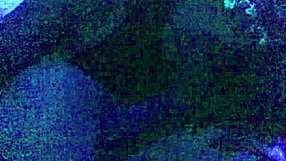 Compilation of Redfantasies Shorts Freebie Collection