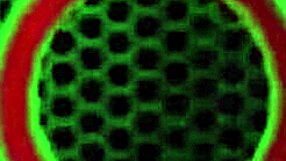 blonde cougar vicky vette tries new toy on rokks big cock