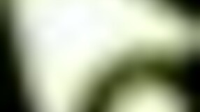 Summer Clover Harem Game