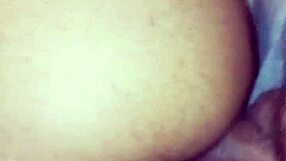 Novinho Wakes Me Up and Pounds My Ass Hard Interracial