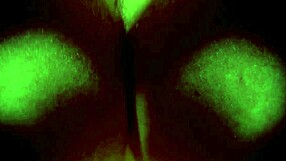 तुम्हारी मिल्फ पड़ोसी को पॉव में वर्जिनिटी लूज करना