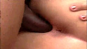 Big Tits Fat Ass Boobs Big Ass Brazilian Bbw Gets Boldly Fucked