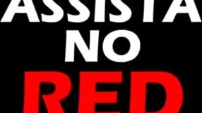 Brendafloripa sucks off the huge cock from the south with hunger