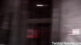 Training you like a dog