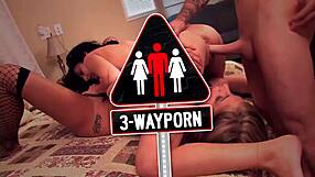 Two inked curvy brunettes suck in three-way for facial