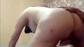 UNA GATITA QUE LE GUSTA EL MAMBO