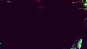 Couple's Blonde Whore Giving Blowjob To Big Cock!