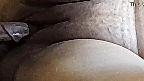 naughty brazilian couple pt 7 - wild ant gets frisky