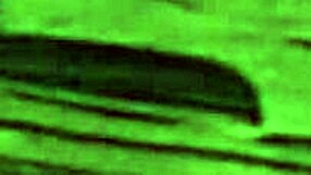 Vintage Erotic Drawings Bring Back Classic Sensual Vibes