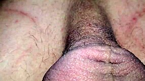 Man, you gotta see this wild swa8 action right now!