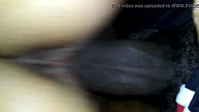 Latina Rides Monster Cock Reverse Cowgirl