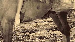 Dark Lantern Presents Vintage Beauty and the Beast Story