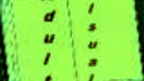 harem hotel 357 game adventure