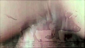 Dark Lantern Presents Vintage Beauty and the Beast Story