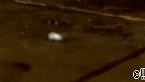 Explore the Intense Contrast of Hardcore Sadomasochism Porn Scenes