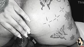 pregnant brunette grabbed on all fours for cum inside