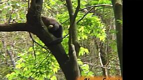 Can You Handle These Big Asses in Rio de Janeiro's Public Fun?