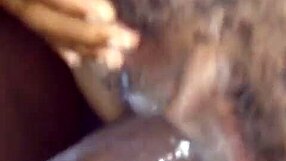 watch that nut burst on ebony?