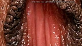 Unbelievable! Black Ebony HD Vagina Close-Up in Hairy Sex by Rumesco