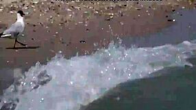 I Fuck My Sexy Blonde Girlfriend Raunchy On Vacation