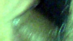 Video from march 3, 2017 at 10:18, casual and simple.