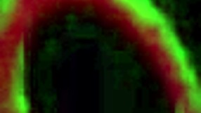 妮基·本兹送上湿滑生日口交，大量颜射！