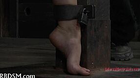 Boxed up girl is bent over for doggystyle fucking and blowjob