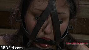 Boxed up girl is bent over for doggystyle fucking and blowjob