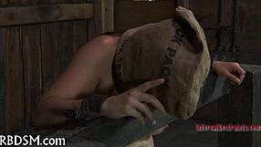 Boxed up girl is bent over for doggystyle fucking and blowjob