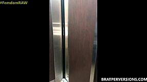 i bully bitches with my femdom power