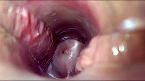 Babe Anime Hentai Dapat Orgasma Vagina Intens Dalam Adegan Liar