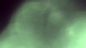 Want to see this amateur milf give a sloppy blowjob at home?