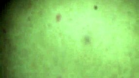 Attractive wife enjoys intimate moment