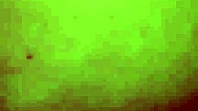 Hey Brunette, Ditch the Books and Suck My Cock