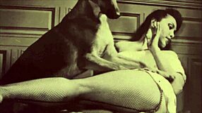 Vintage tabu hra s kundou a vonkajšia akcia na psíka