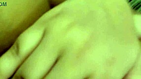 Amateur Couple's Naughty Sex with Blowjob and Assfucking!