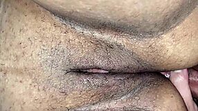 Amateur Couple's Naughty Sex with Blowjob and Assfucking!