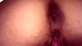 크리스마스 트리 아래에서 흥분한 베이비와 뜨거운 퀵 섹스 해본 적 있어?