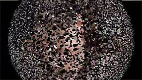 Lydia dominates with pussy licking