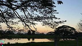 Hey man, watch this Latino with huge cock jerk to gay porn!