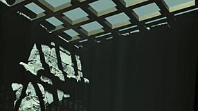 Bitch Seeks Orgasm with Various Men