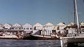 Join My Profile For Updates