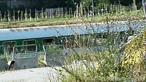 cute blonde teen 18+ gets gangbanged in public