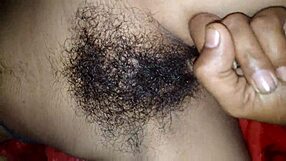 Indian Bhabi Shows Beautiful Pussy in Fast Fingering Action