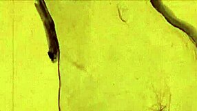 Show me that vintage erotic art style now