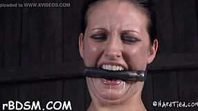 i can't believe what hotty signed up for with this lusty doggystyle castigation