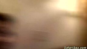 I'm obsessed with deepthroating hot chocolate babes at this wild safari orgy