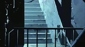 Riley Reid in Wild Hentai Cartoon Animation with Intense Blowjob Scenes