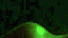 365 Days Airplane Scene With Blowjob And Cumshot