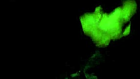 I got my face fucked by twix dicks caramel and chocolate cocks so good